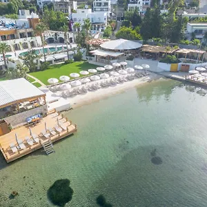 Avantgarde Refined ***** Yalıkavak